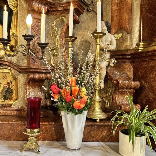 Palmweihe und Prozession