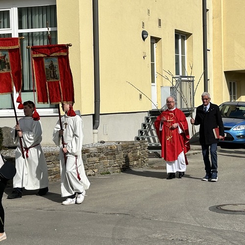 Palmweihe und Prozession