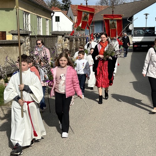 Palmweihe und Prozession