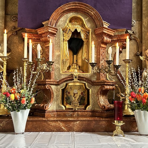 Palmweihe und Prozession