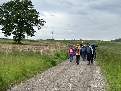 Gelöbniswallfahrt Maria Anzbach