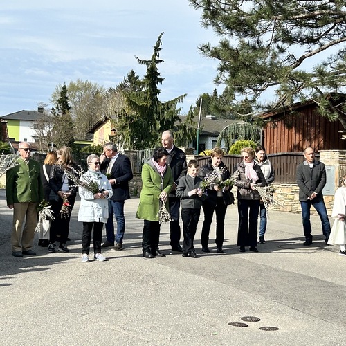 Palmweihe und Prozession