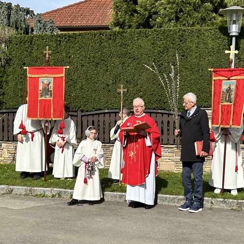 Palmweihe und Prozession